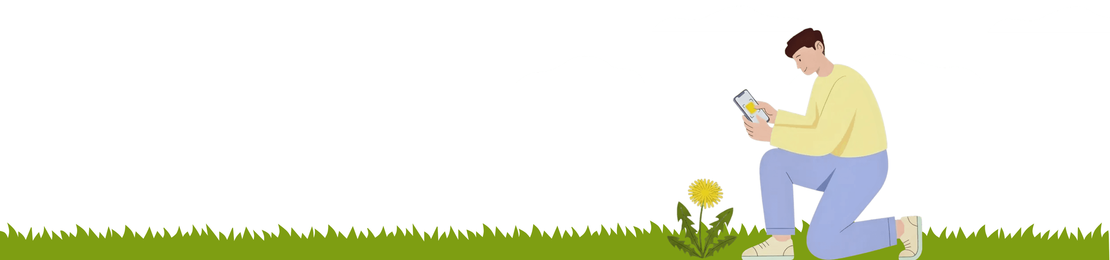 weed landing cta