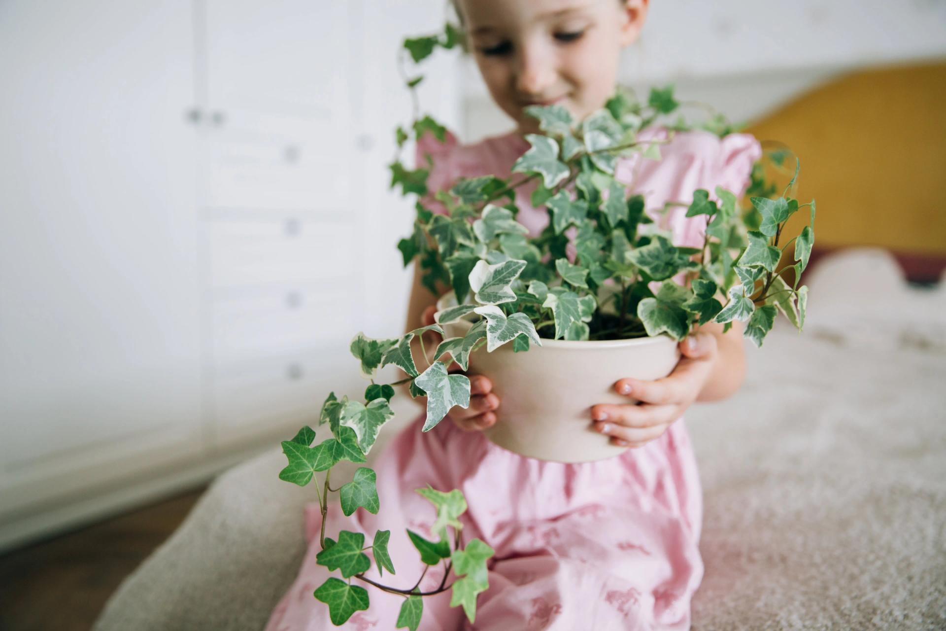girl-holding-a-pot-with-a-houseplant-in-a-light-po-2021-09-01-19-40-29-utc-min.jpg girl-holding-a-pot-with-a-houseplant-in-a-light-po-2021-09-01-19-40-29-utc-min.jpg
